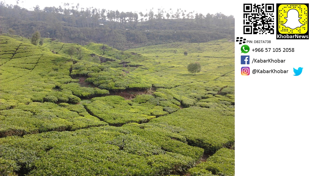 8 the latest promotion....